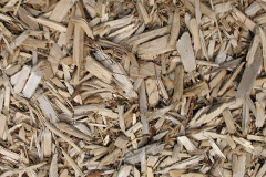 biomass boilers Burton Pedwardine