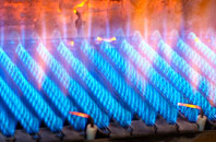 Burton Pedwardine gas fired boilers